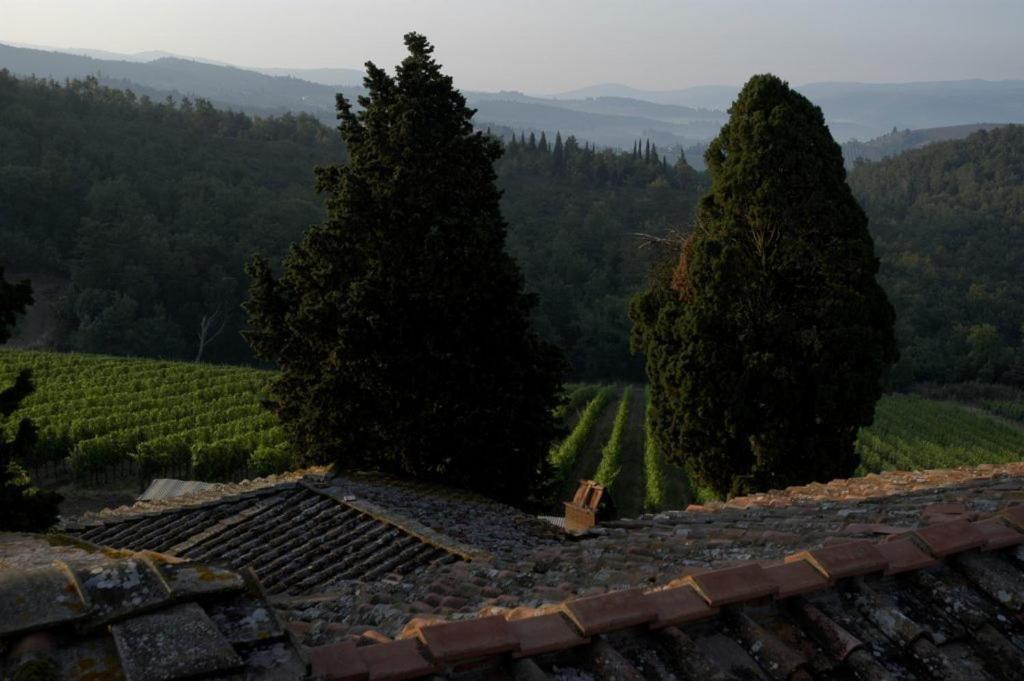 Badia A PassiganoPoggio Al Sole别墅 外观 照片